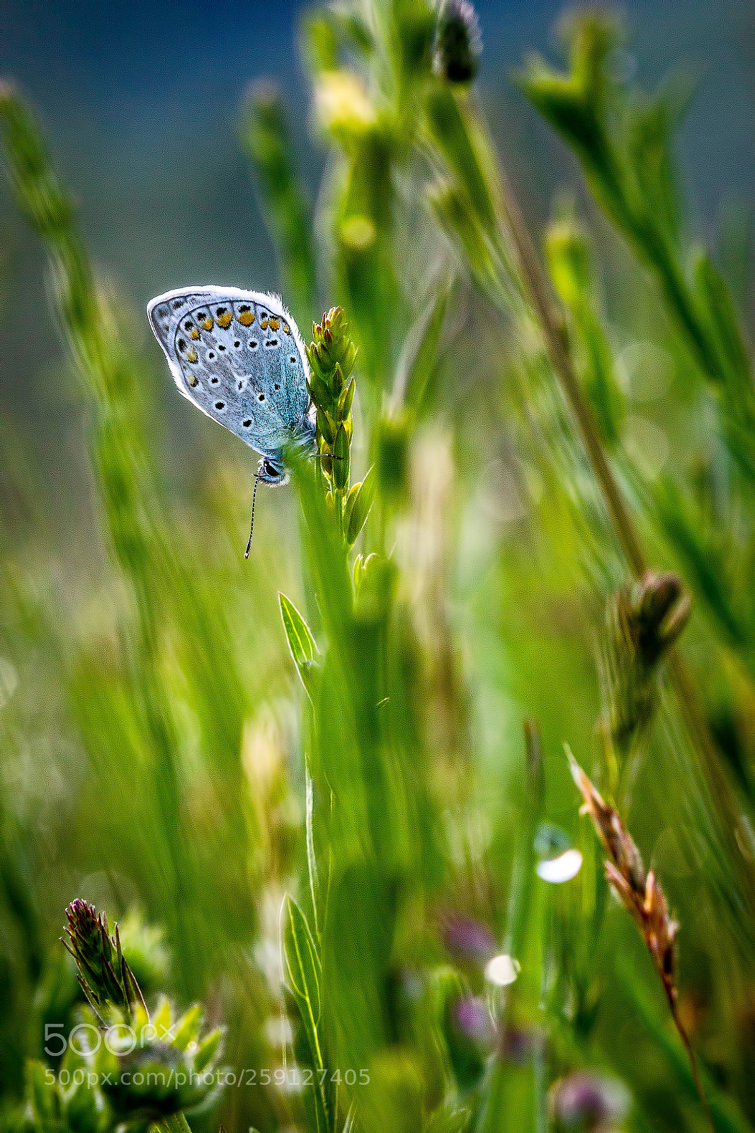 Canon EOS 7D sample photo. New morning photography
