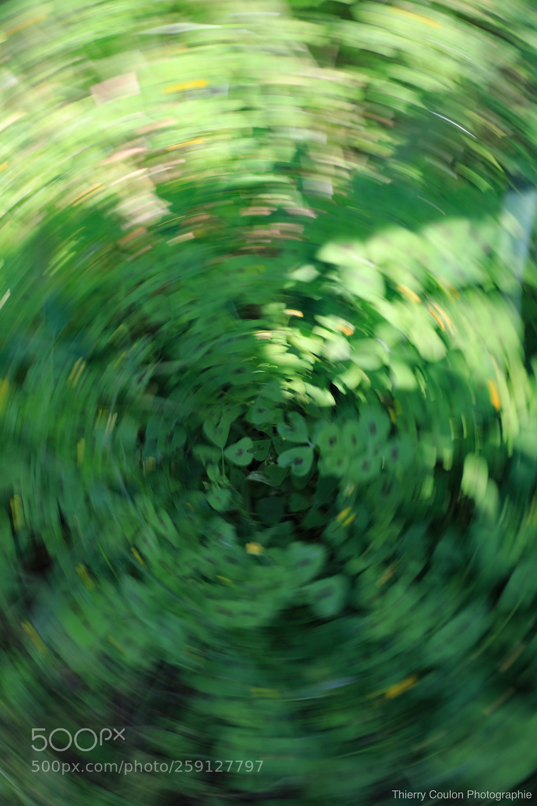 Canon EOS 5D Mark IV sample photo. Un petit effet nature photography