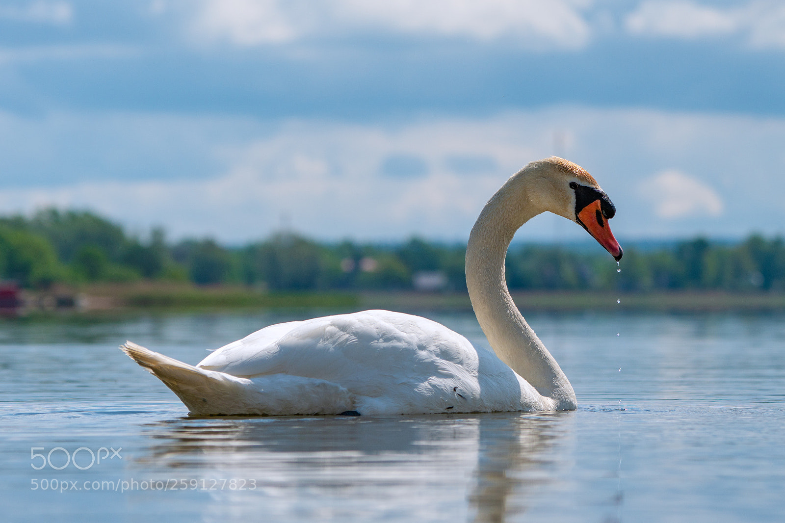 Sony a6300 sample photo. Sawn photography