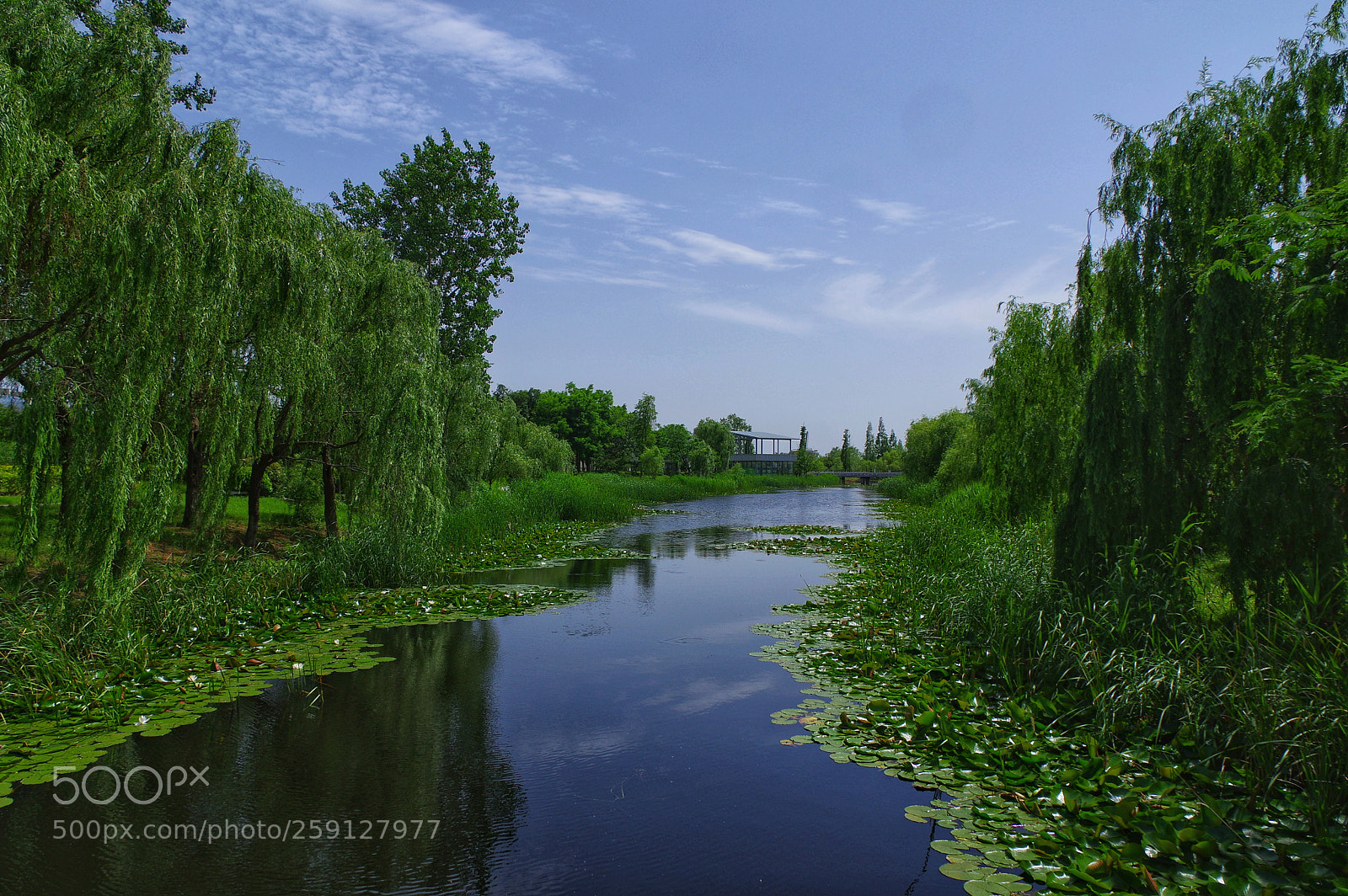 Pentax K-3 II sample photo. Untitled photography