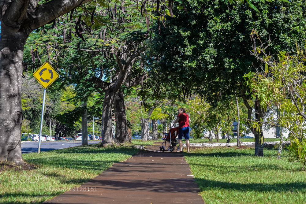 Nikon D610 sample photo. Ufg photography