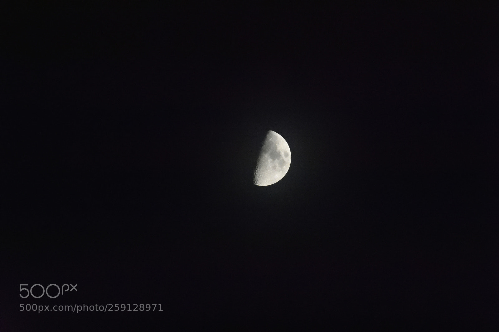 Nikon D3400 sample photo. Mesic photography
