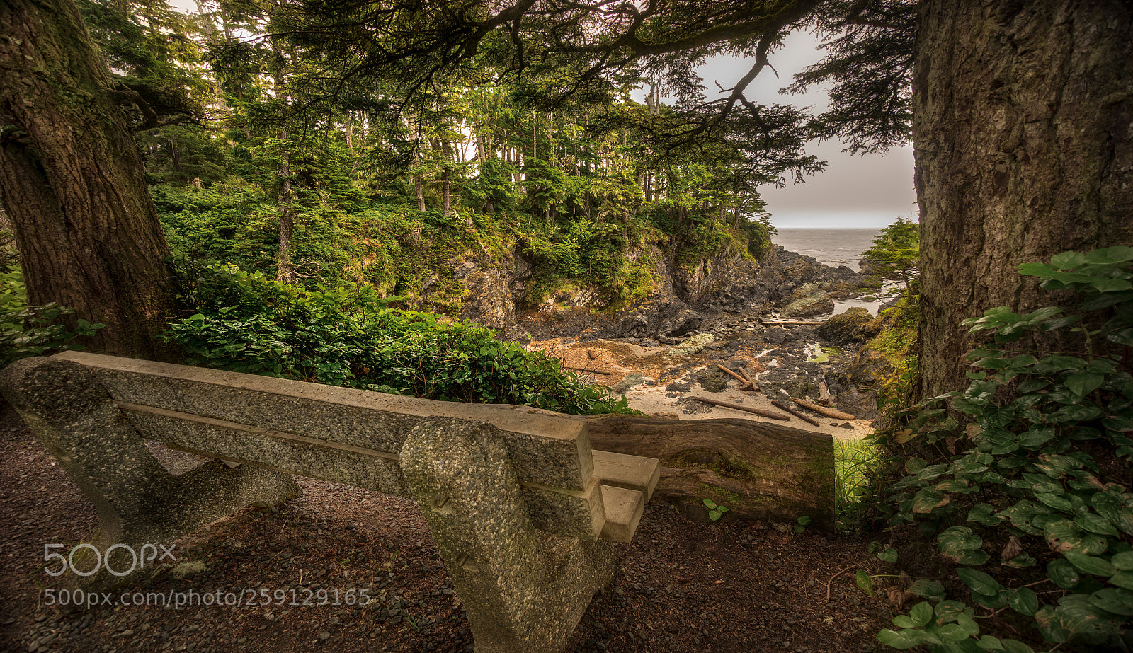 Sony a7R sample photo. Bench view photography