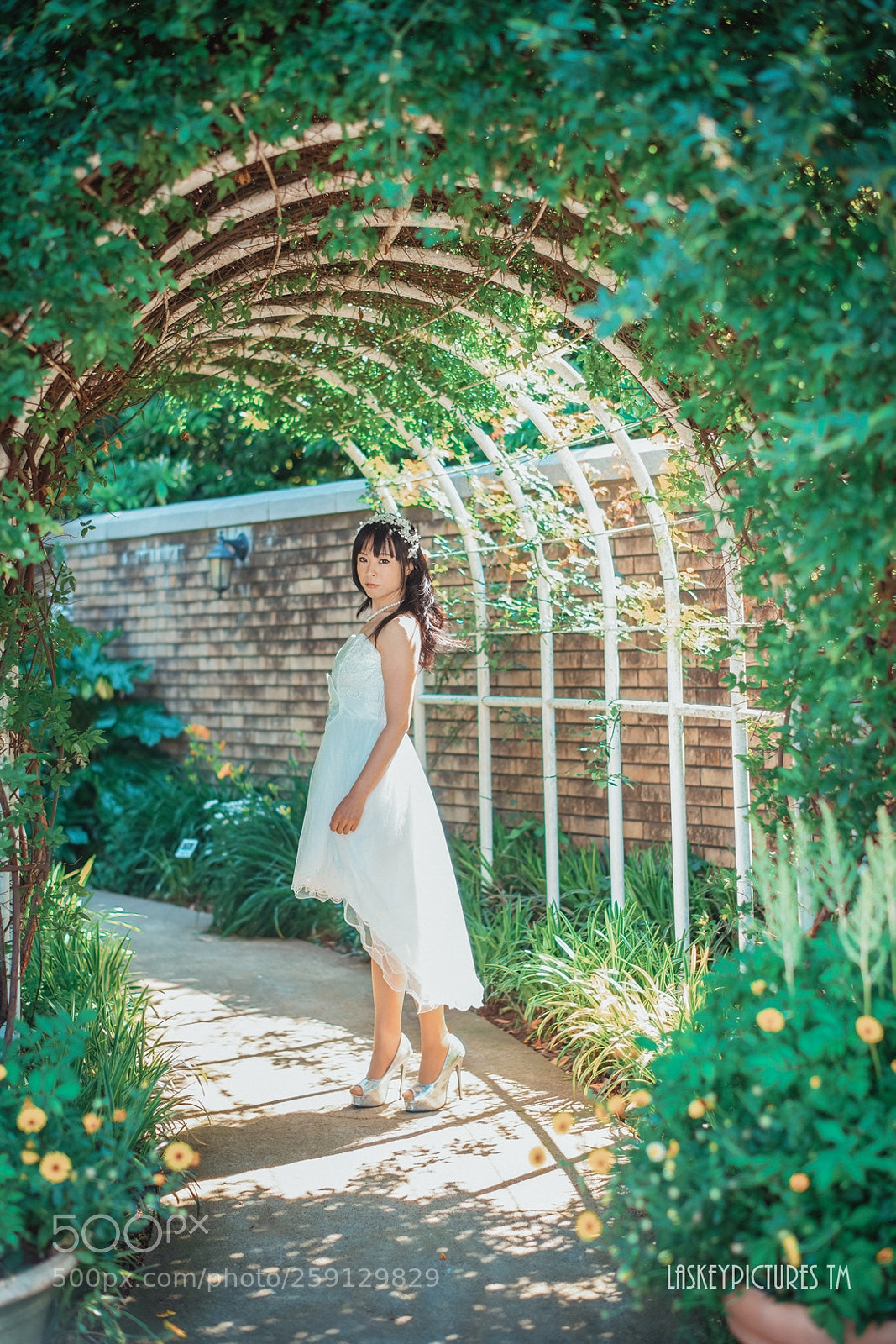 Nikon D850 sample photo. Satori photography