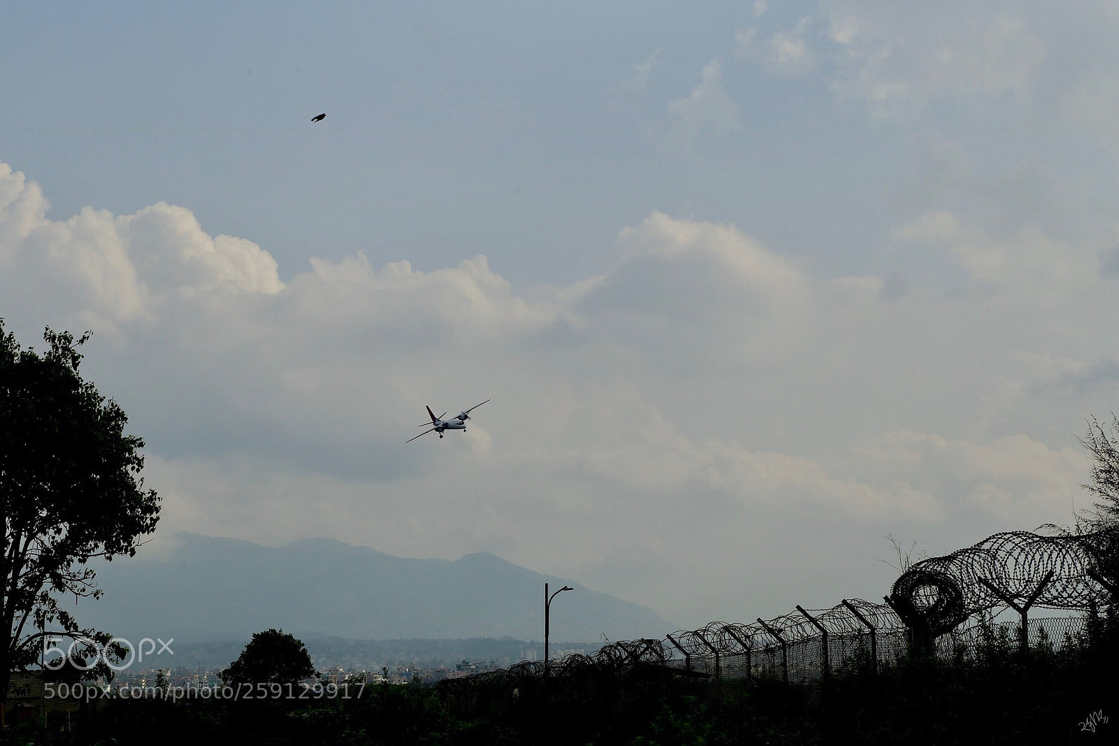 Canon EOS 6D sample photo. Birds photography