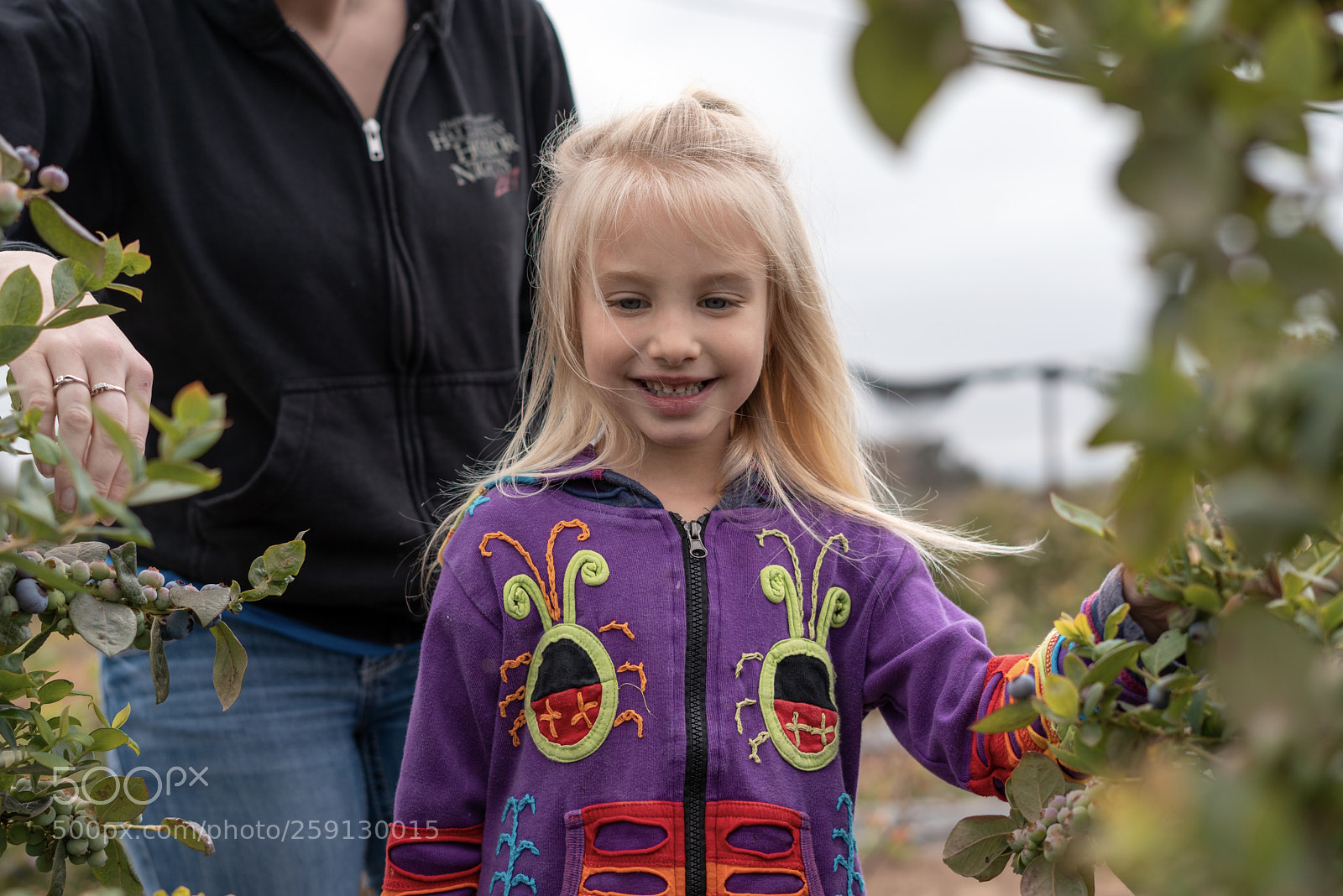 Sony a7R III sample photo. Berry pickin photography