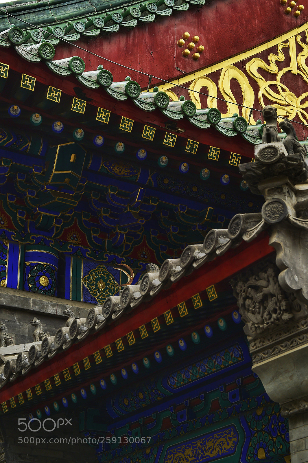 Nikon D4S sample photo. Untitled photography