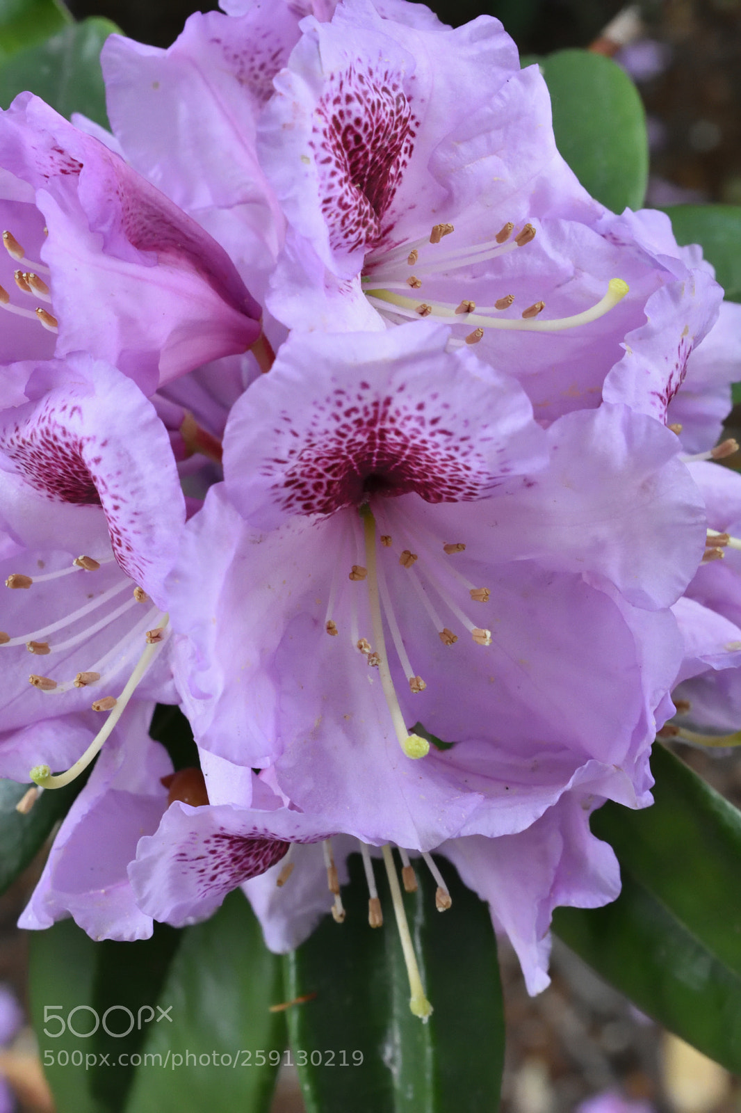 Nikon D3400 sample photo. Dsc photography