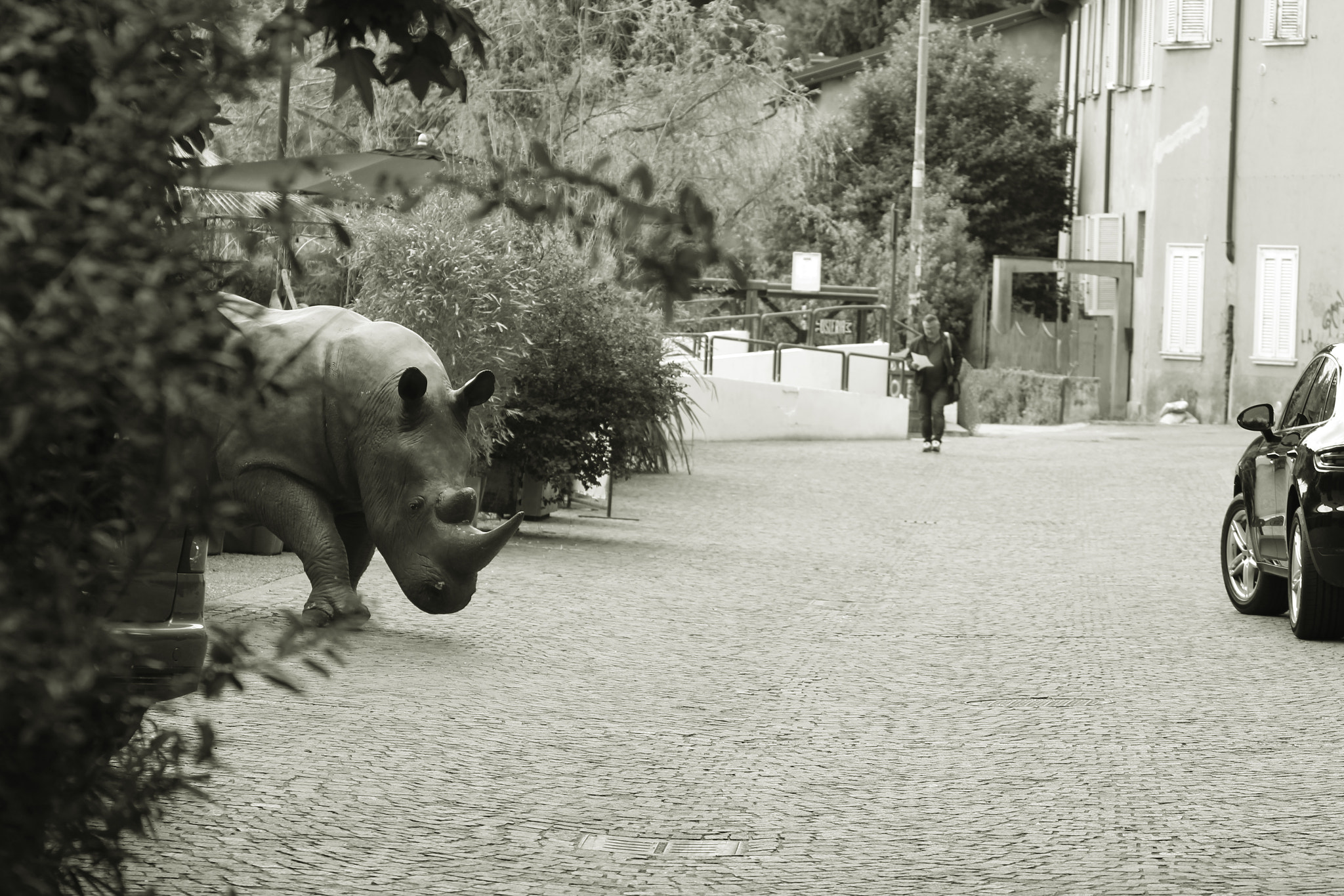 Canon EF 75-300mm F4.0-5.6 IS USM sample photo. Animals in the city photography