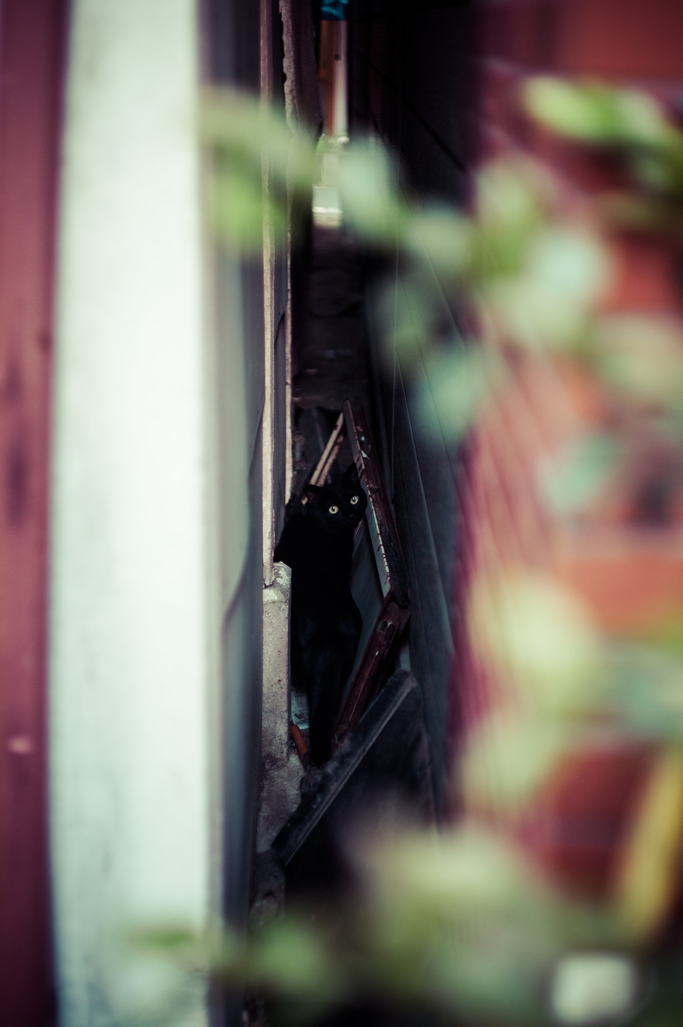 Leica M9 sample photo. Don't look at me. photography