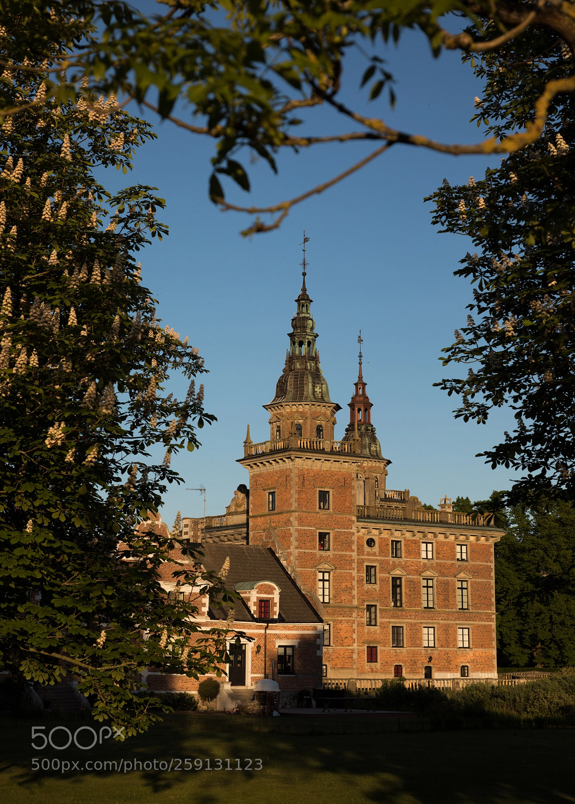 Canon EOS 5D Mark IV sample photo. Spring in scandinavia photography