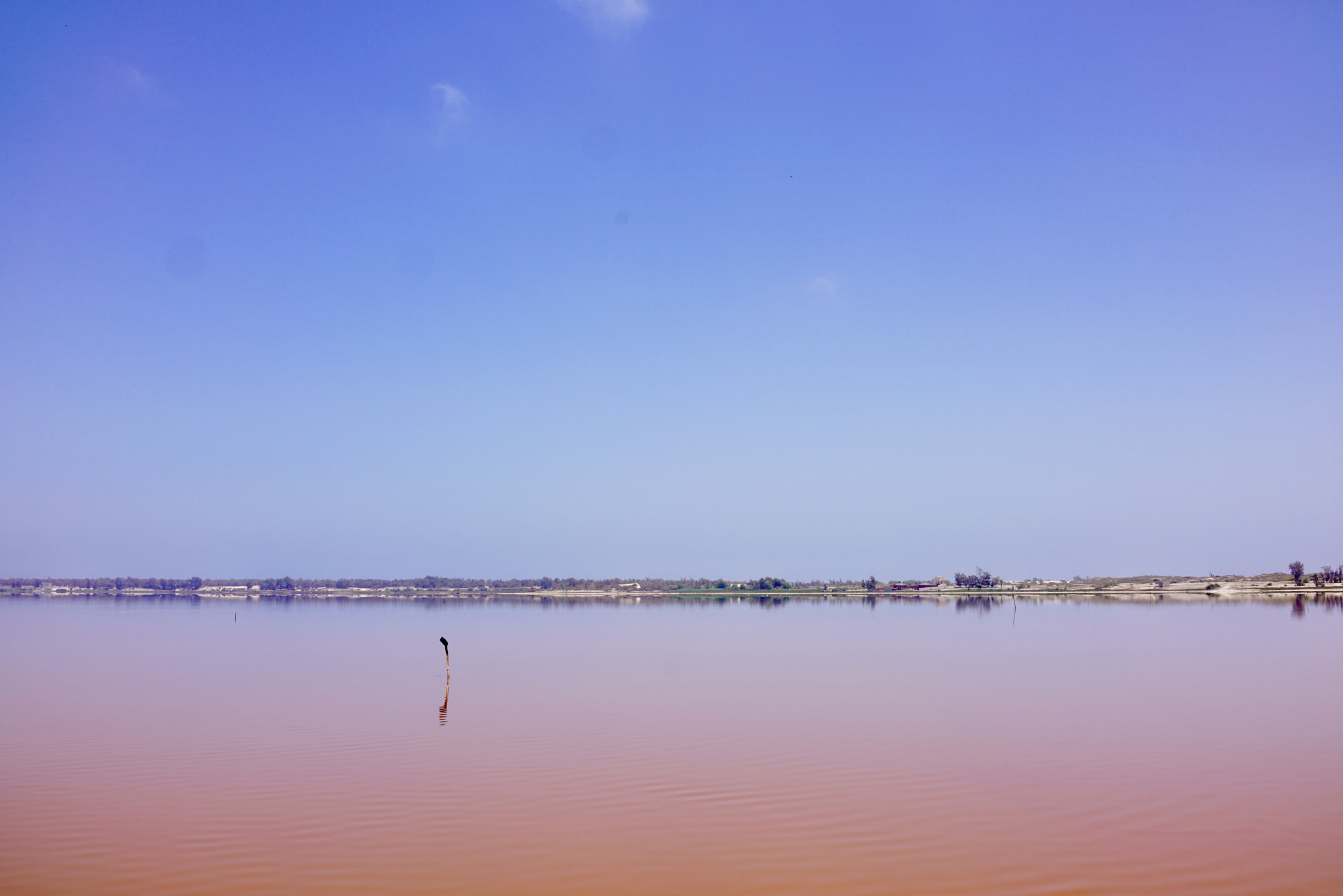 Sony Cyber-shot DSC-RX1R II sample photo. The pink lake photography