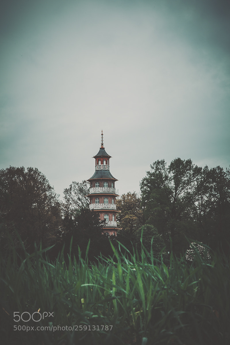 Canon EOS 5D Mark II sample photo. Old teahouse photography