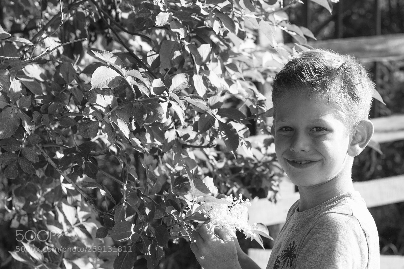 Canon EOS 600D (Rebel EOS T3i / EOS Kiss X5) sample photo. He photography