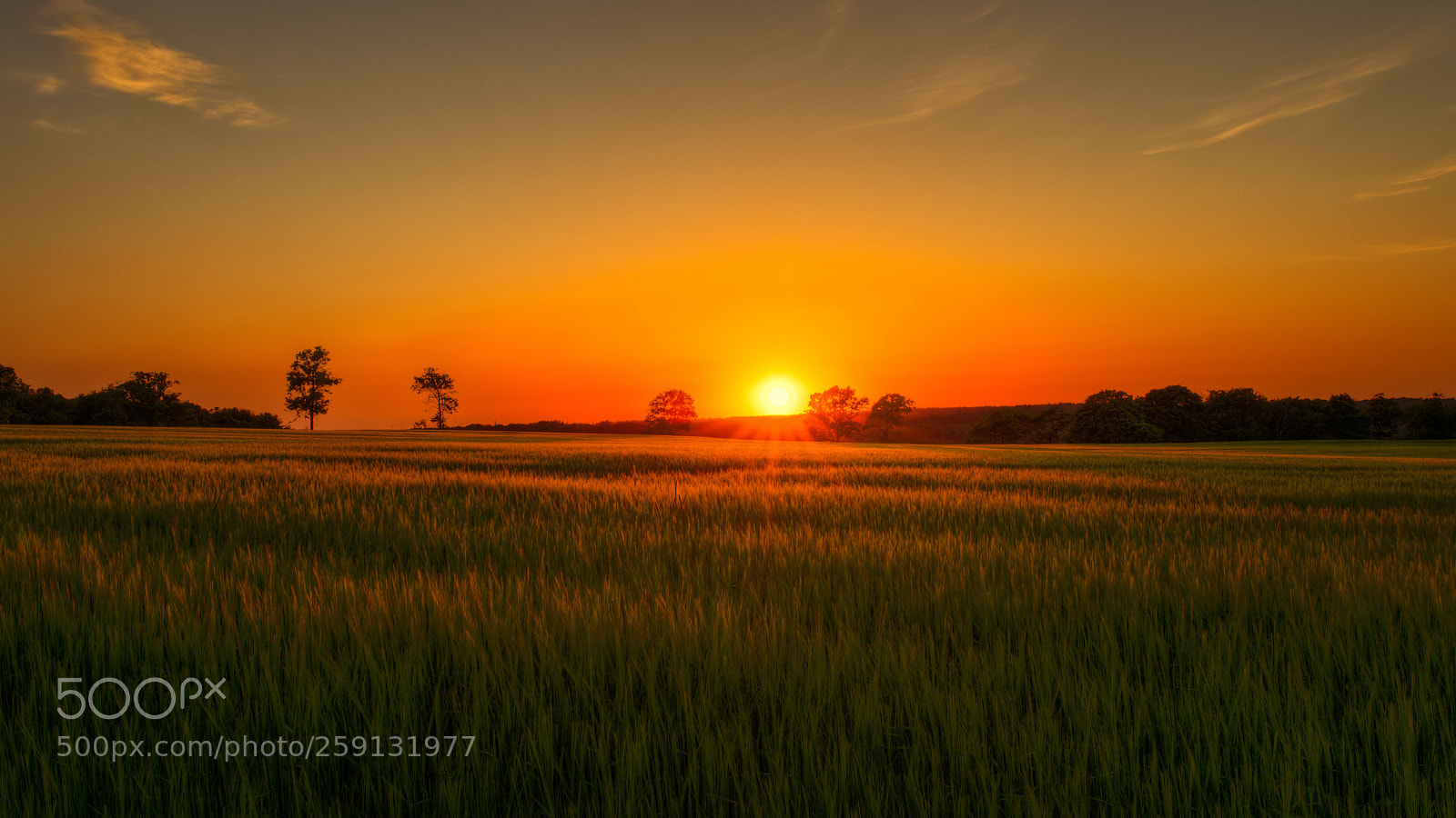 Canon EOS 5D Mark IV sample photo. Beautiful sunset photography
