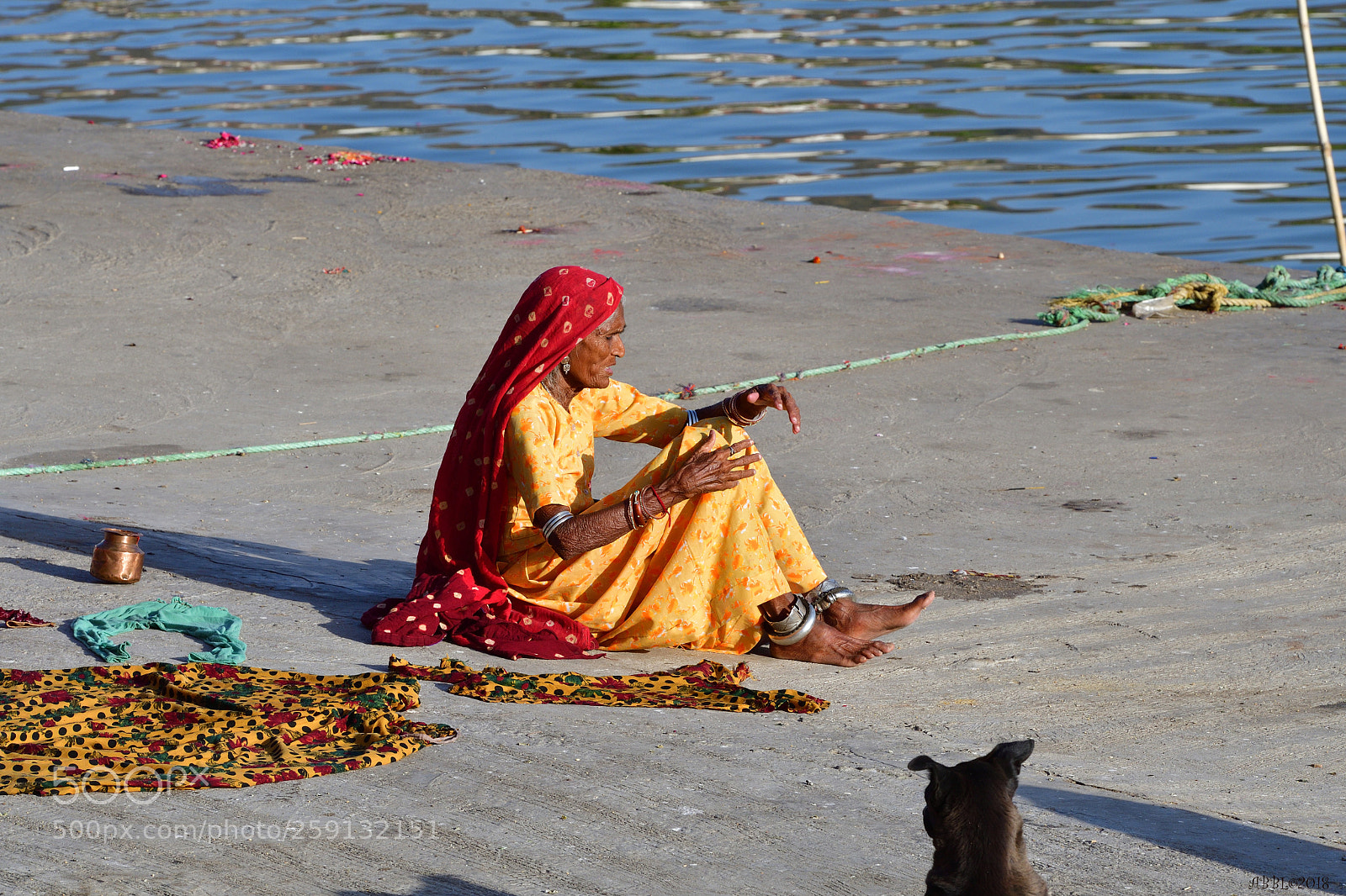 Nikon D500 sample photo. On the bank of photography
