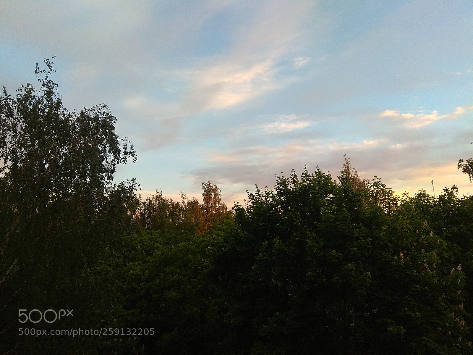 Xiaomi Redmi Note 4 sample photo. Untitled photography