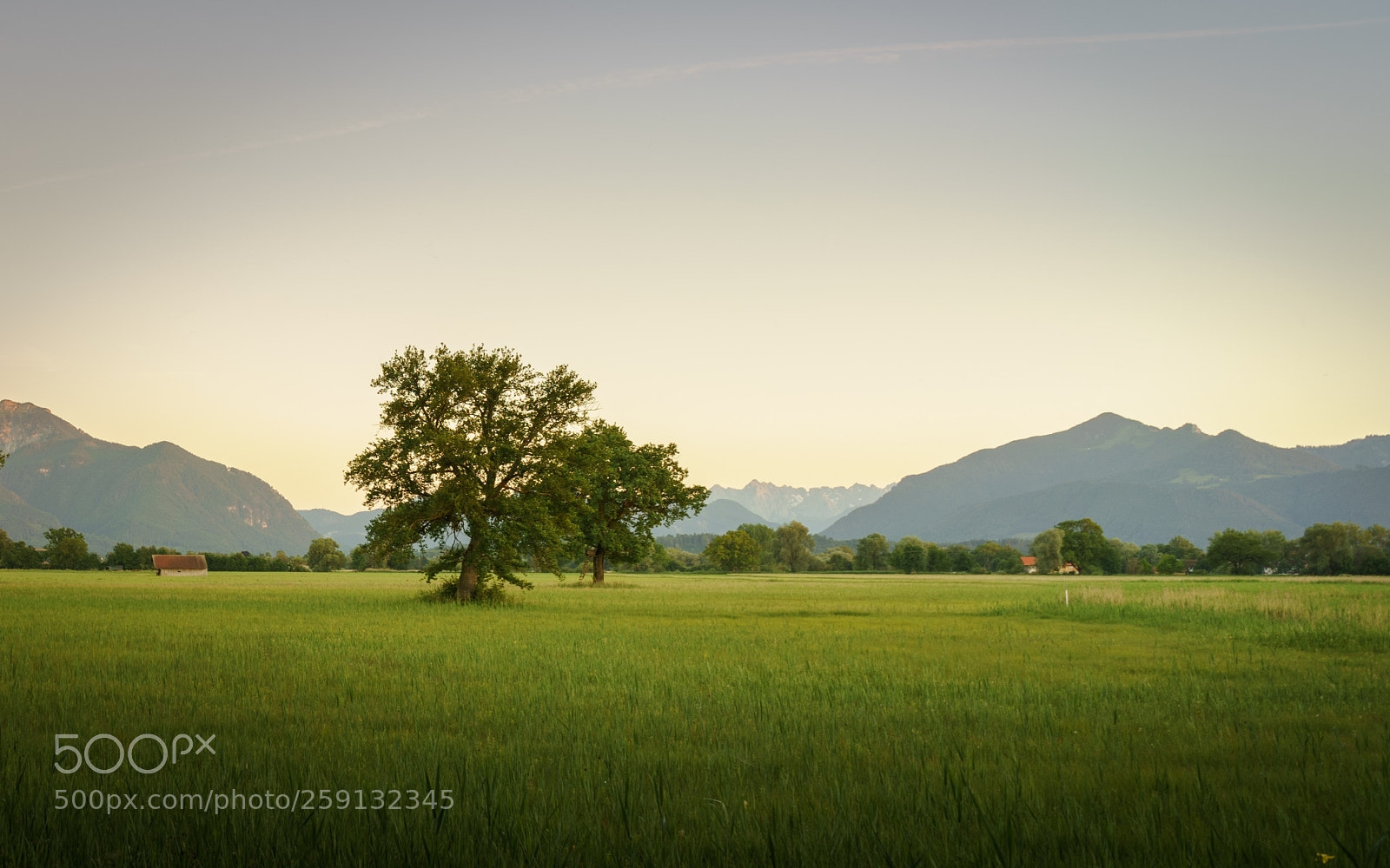 Sony a7 II sample photo. Lachsgang sunset stroll photography