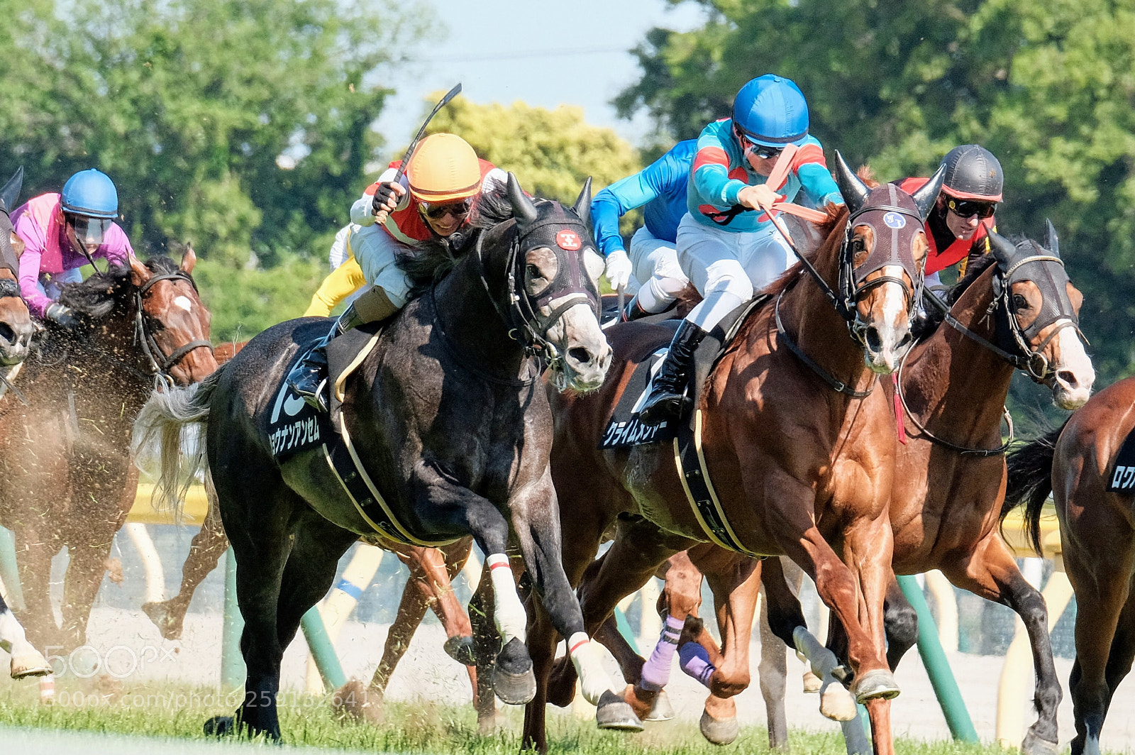 Fujifilm X-Pro2 sample photo. Untitled photography