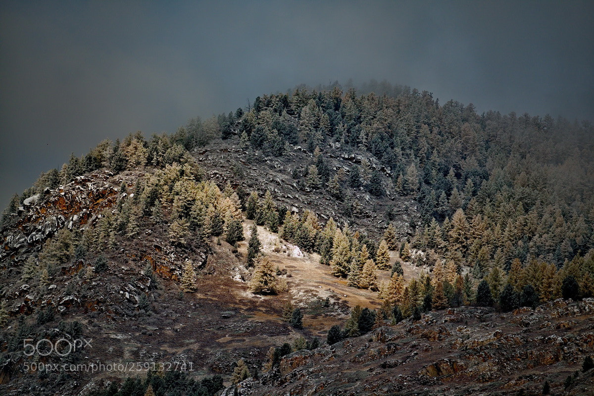 Fujifilm X-T1 sample photo. Russia. late autumn in photography