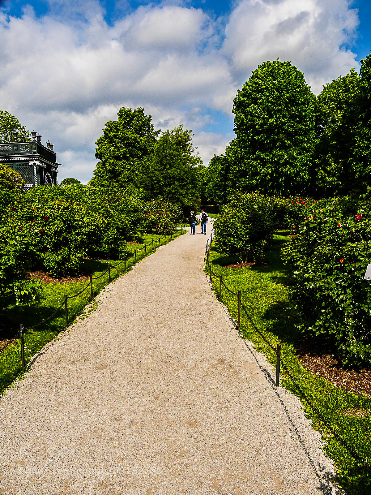 Panasonic Lumix DMC-GX7 sample photo. Leading path photography