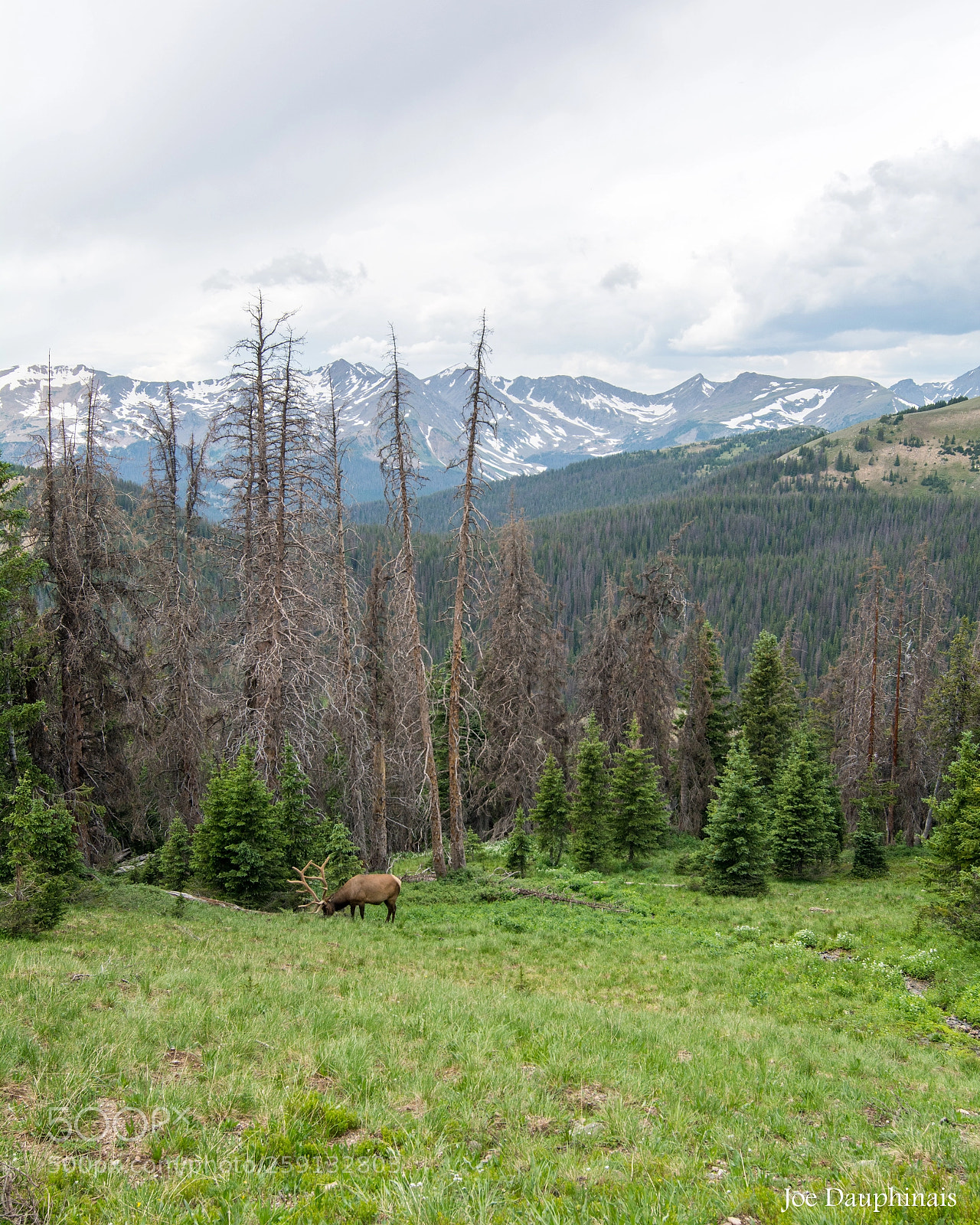 Nikon D7100 sample photo. Colorado rockies on mt photography