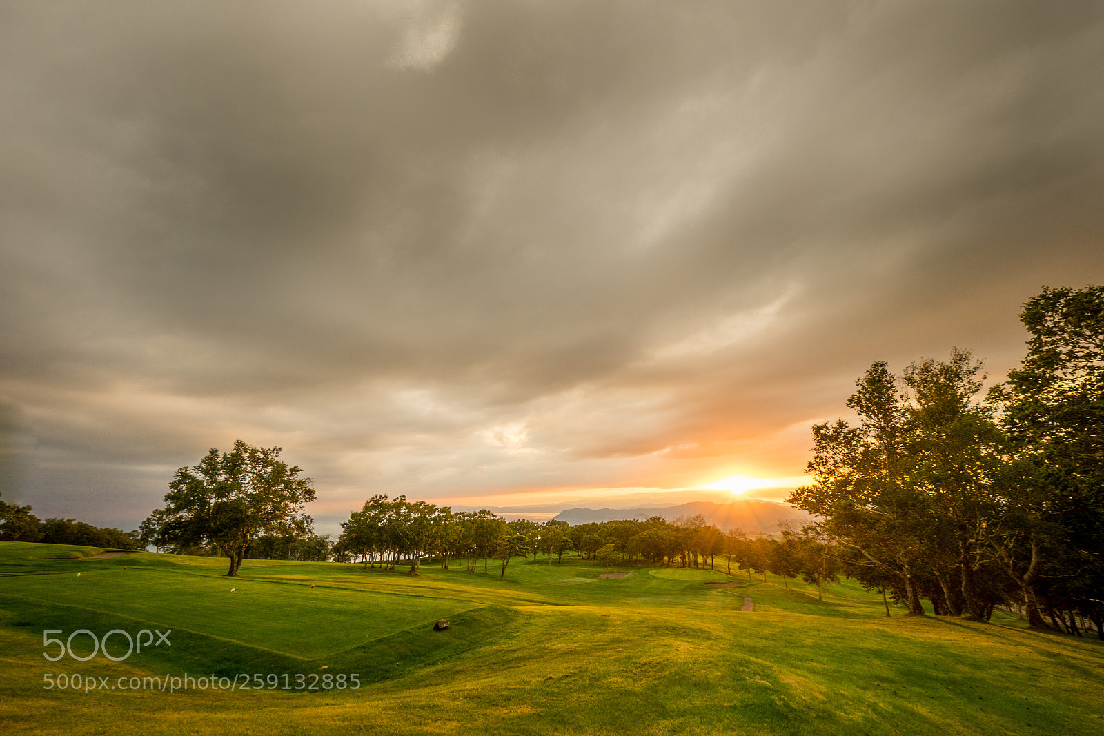 Fujifilm X-E2 sample photo. Teeing ground photography