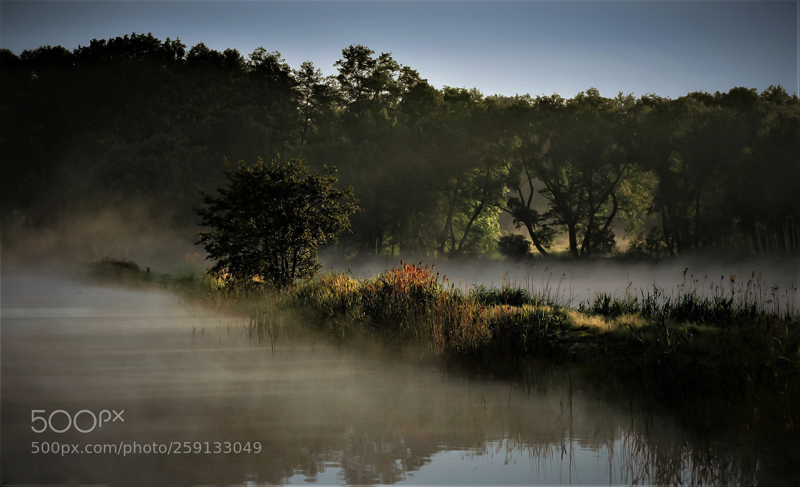 Nikon D3200 sample photo. Morning fog 2 photography
