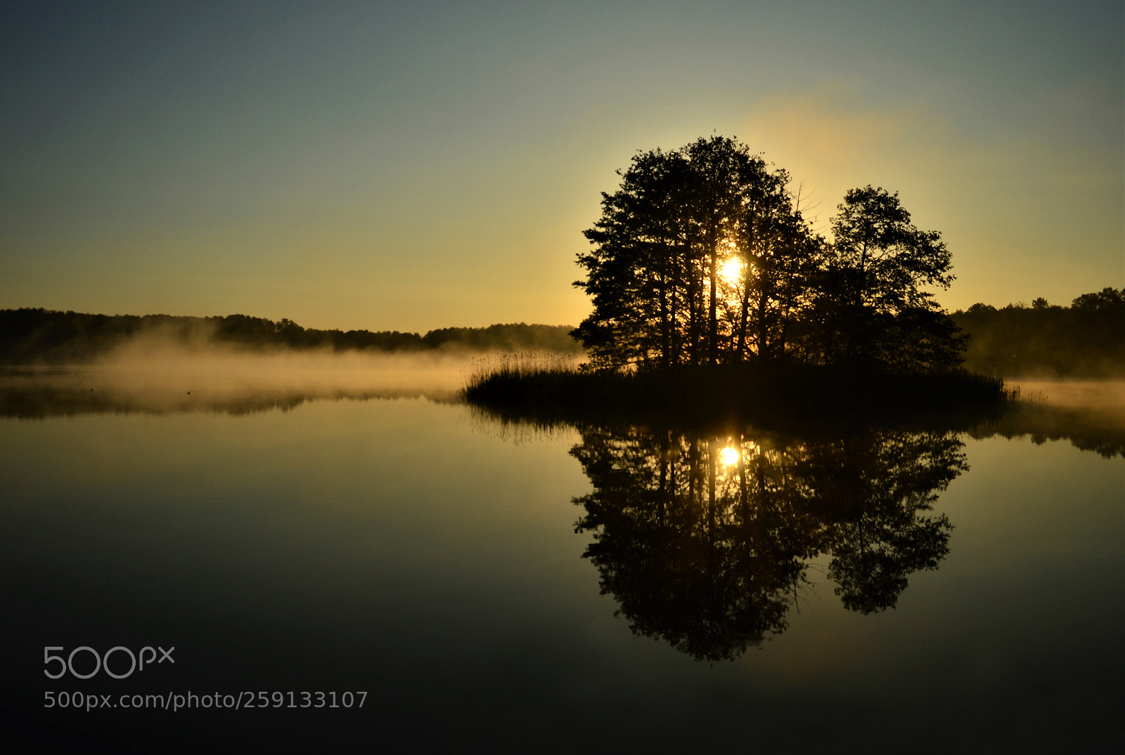 Nikon D3200 sample photo. Morning fog 3 photography