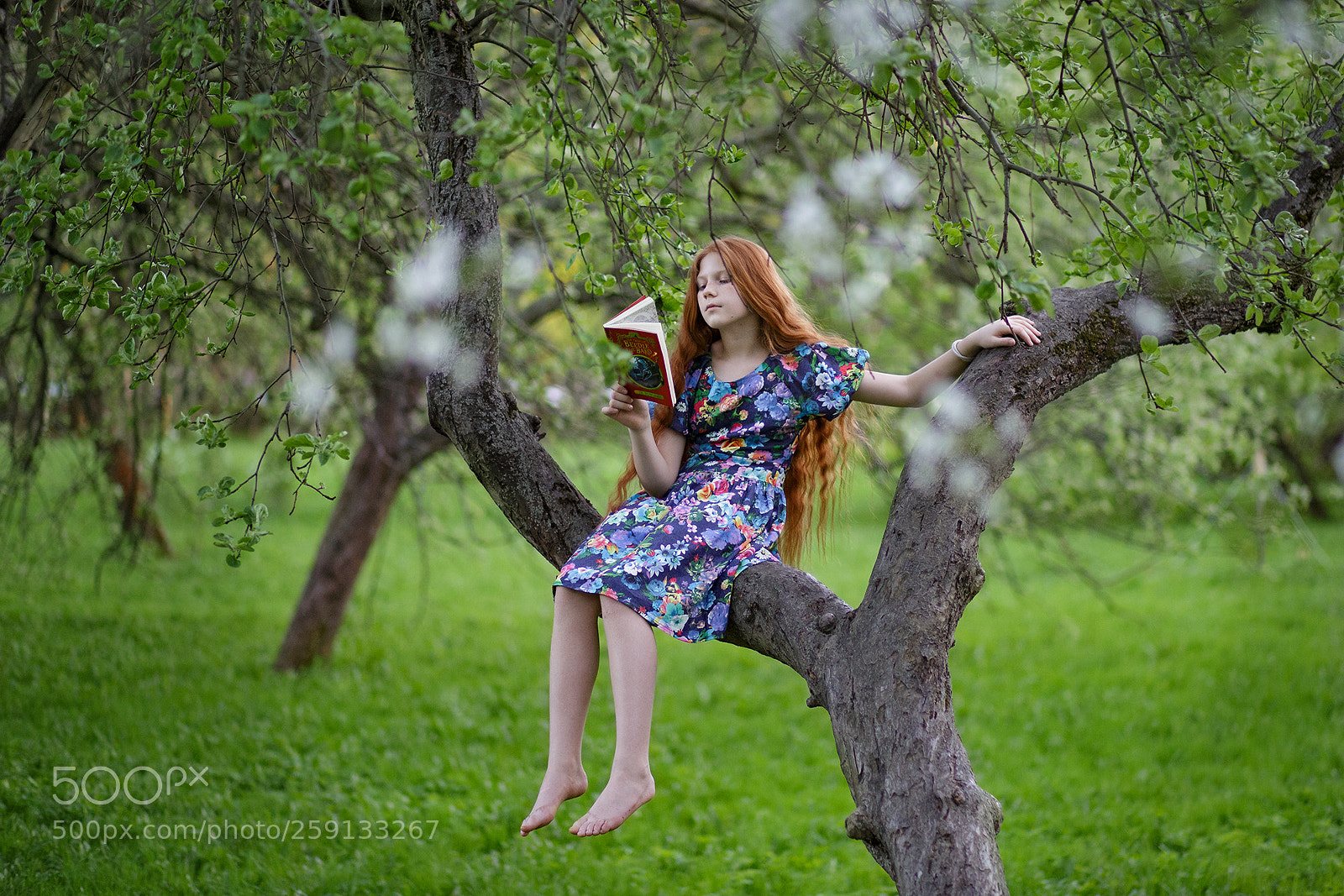 Canon EOS 6D sample photo. Beauty of renaissance photography