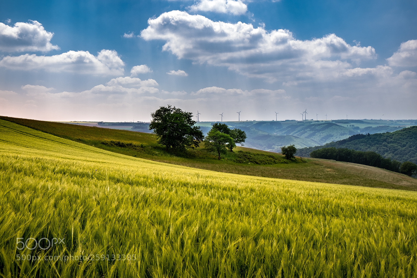 Fujifilm X-T1 sample photo. Vastness photography