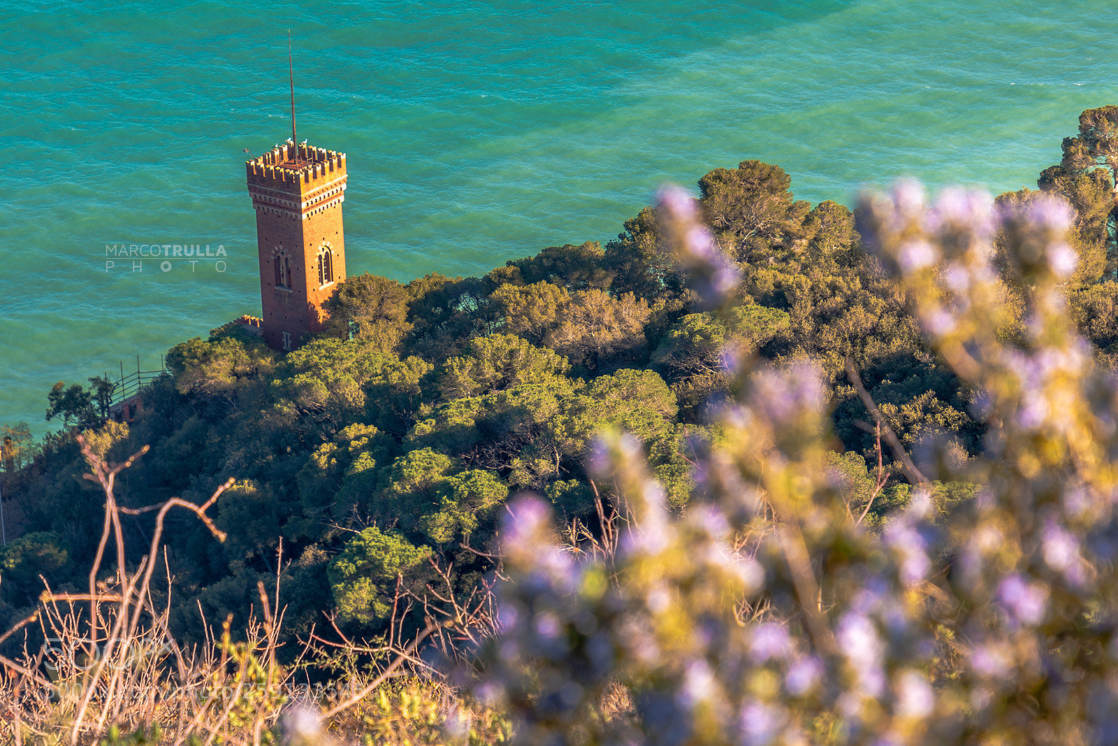Nikon D7200 sample photo. Nature over the castle photography