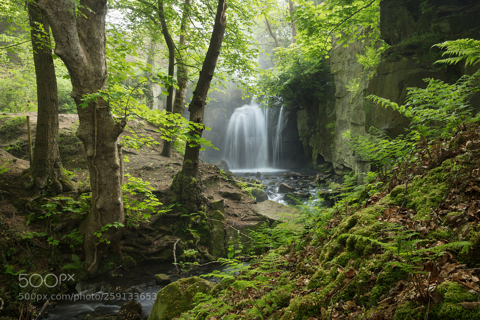 Canon EOS 5DS R sample photo. Spring falls photography