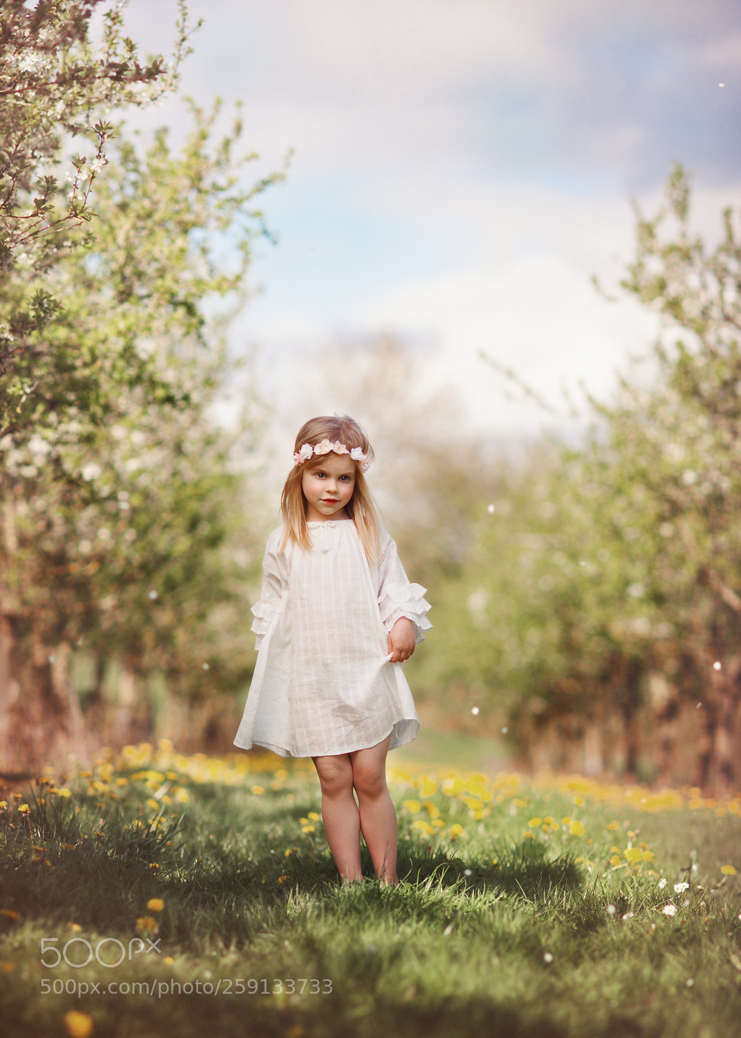 Nikon D700 sample photo. Pola photography