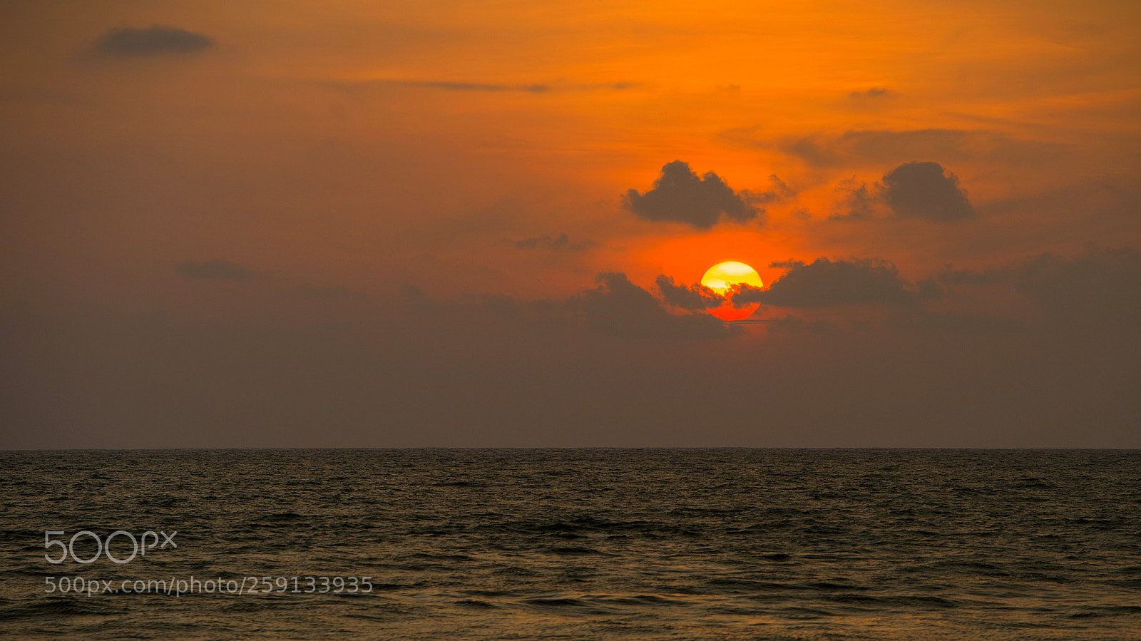 Nikon D810 sample photo. Untitled photography