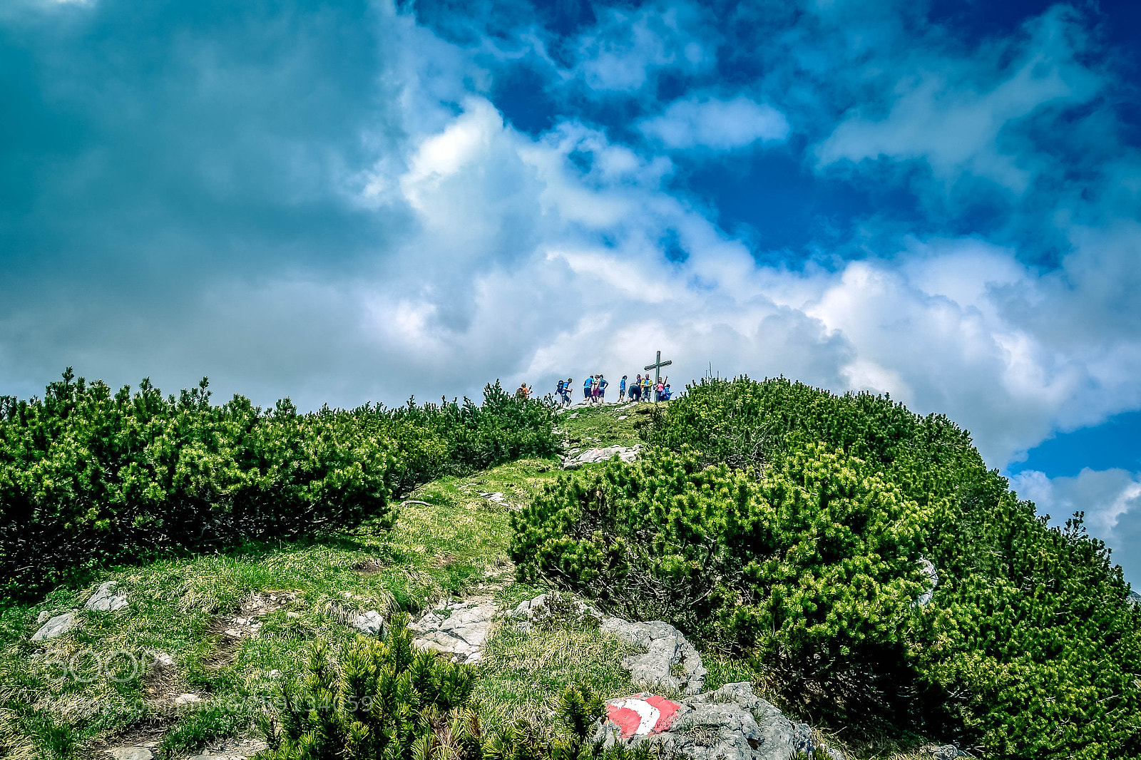 Nikon D3100 sample photo. Grabnerstein photography