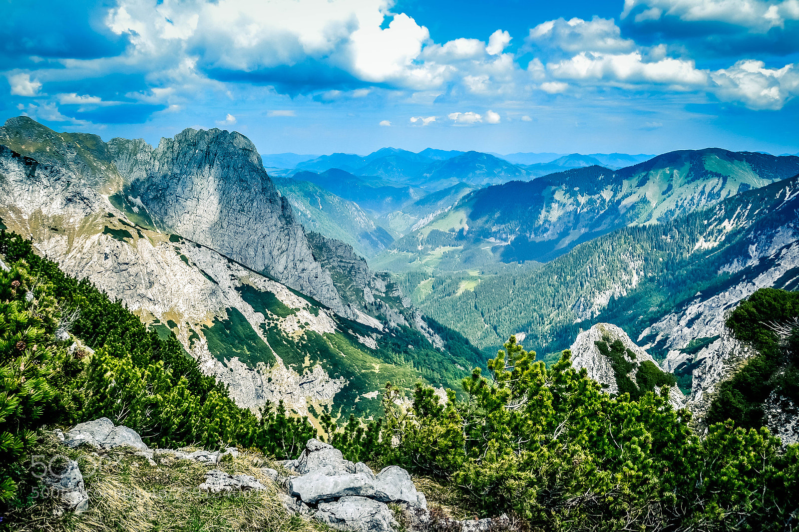 Nikon D3100 sample photo. Grabnerstein photography