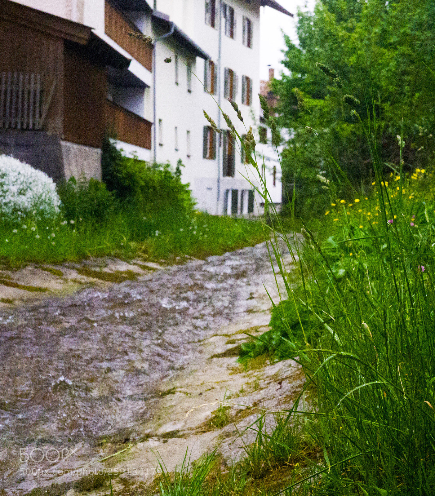 Sony a6000 sample photo. Alpbach im zentrum des photography