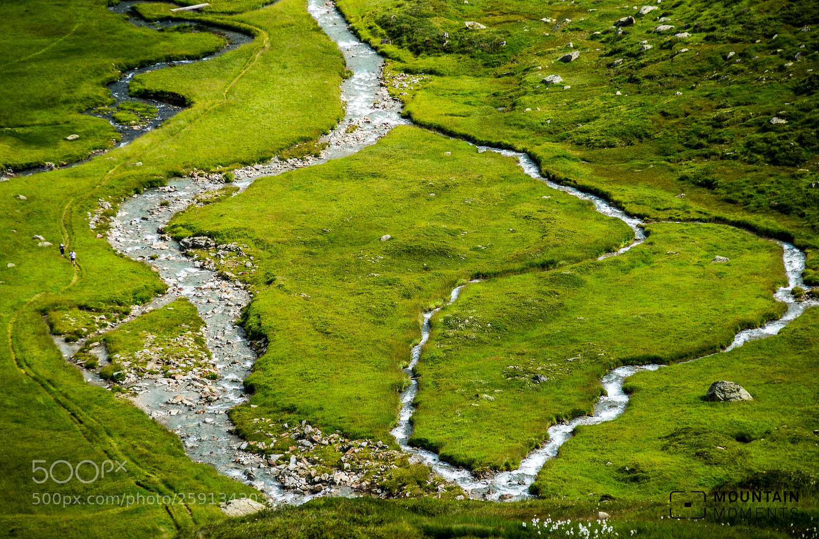 Nikon D610 sample photo. Hiking meadows photography
