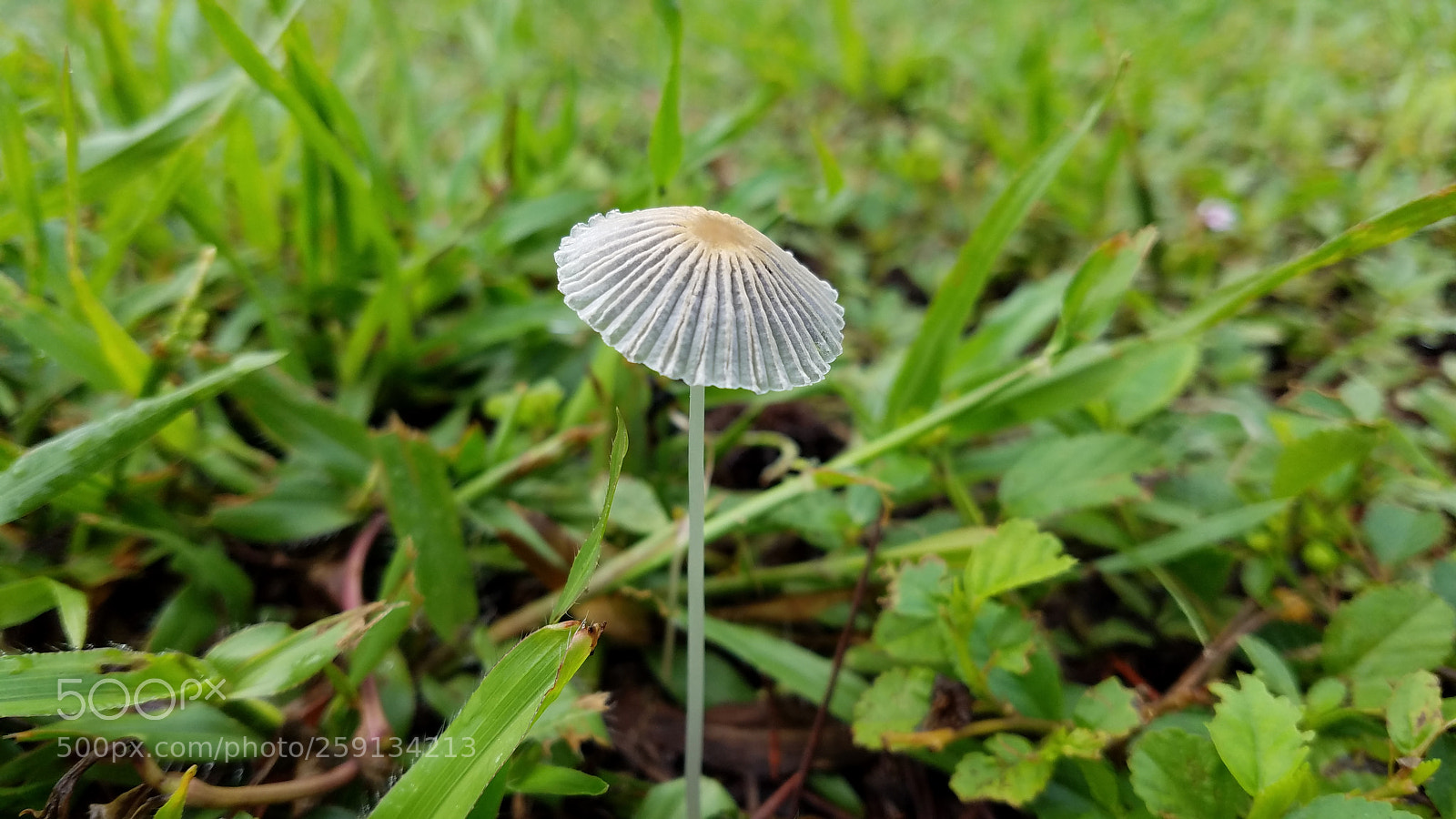Samsung Galaxy S7 sample photo. Shelter photography