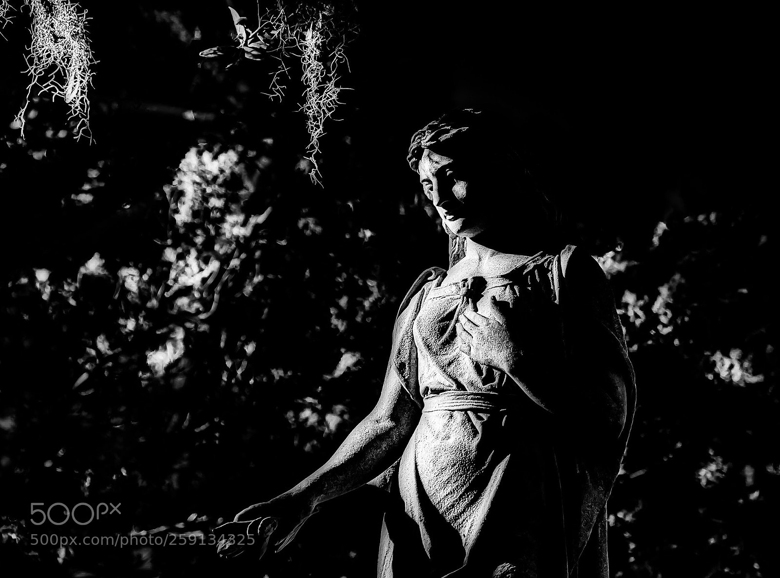 Nikon D5500 sample photo. Angelic  photography