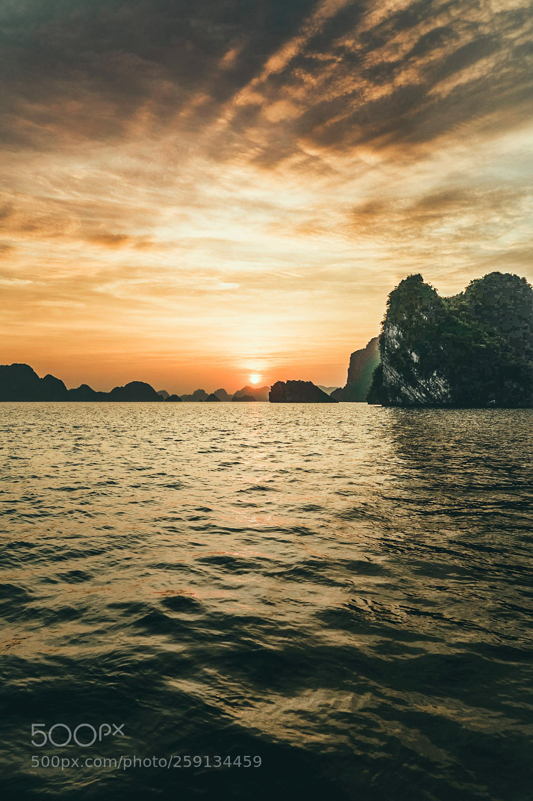 Sony a7 II sample photo. Good morning cat ba photography