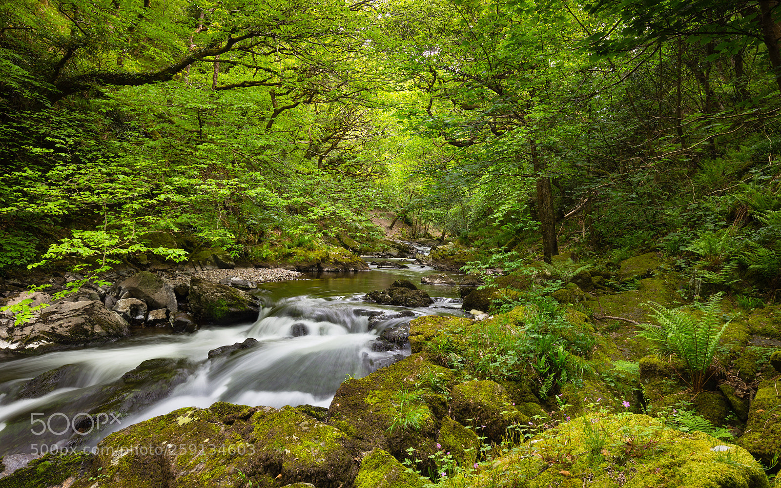 Canon EOS 6D sample photo. Early summer at watermeet photography