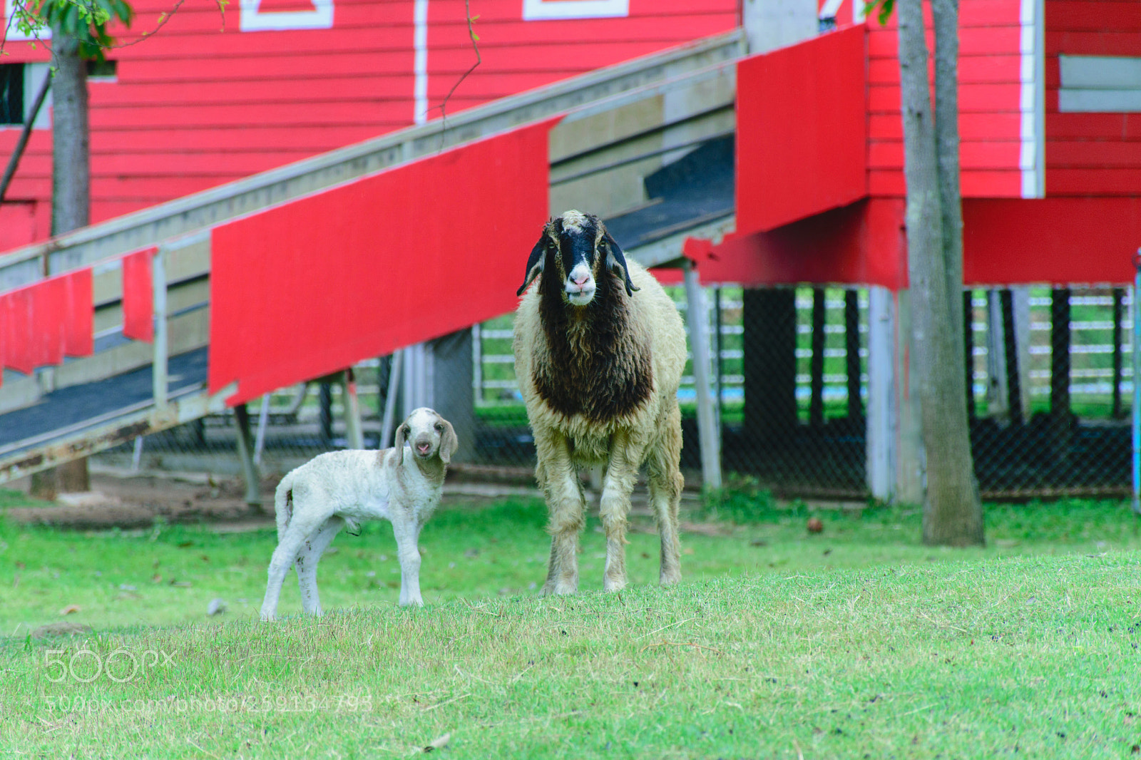 Nikon D5300 sample photo. Mother and baby. photography