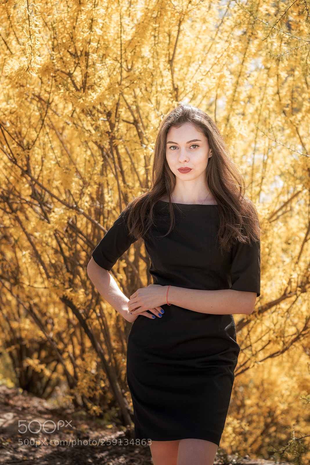 Nikon D750 sample photo. Yellow mood photography