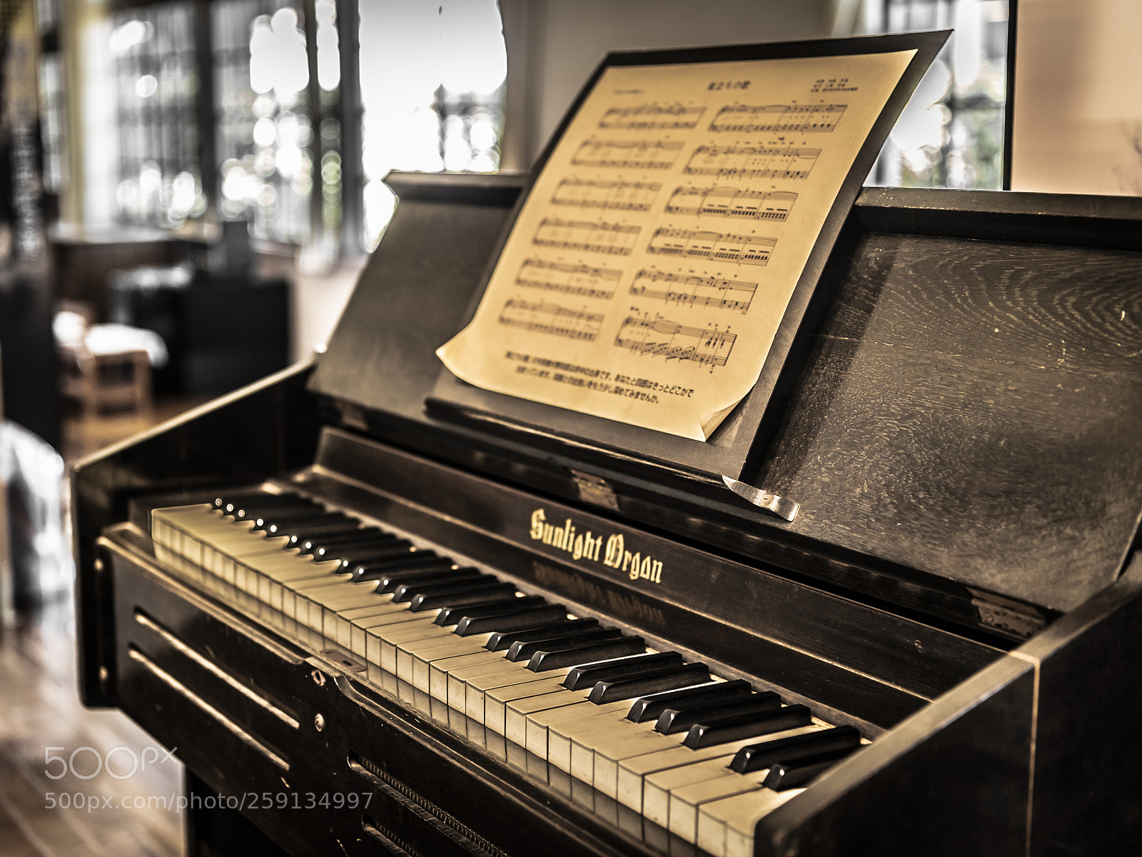 Nikon D5 sample photo. Classroom photography