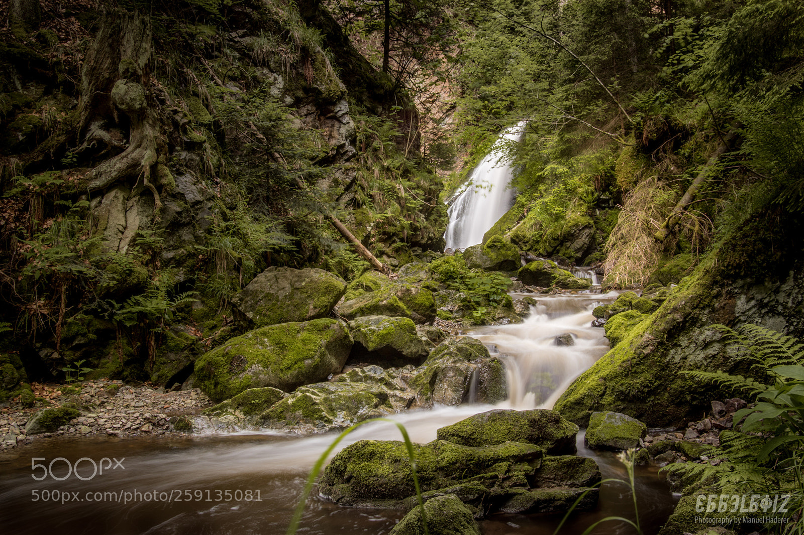 Sony ILCA-77M2 sample photo. Untamed creek photography