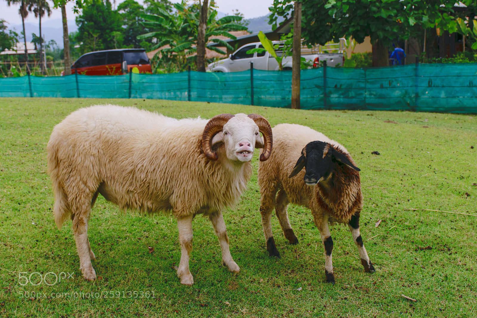 Nikon D5300 sample photo. Happy couple. photography