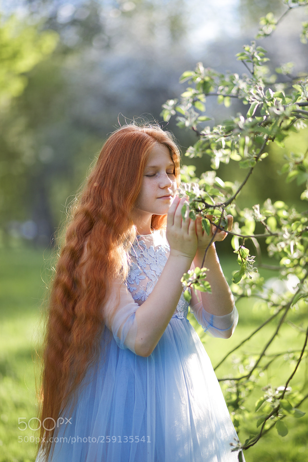 Canon EOS 6D sample photo. Beauty of renaissance photography
