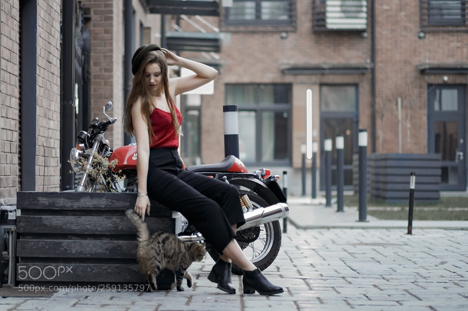 Canon EOS 6D sample photo. Hello kitty photography